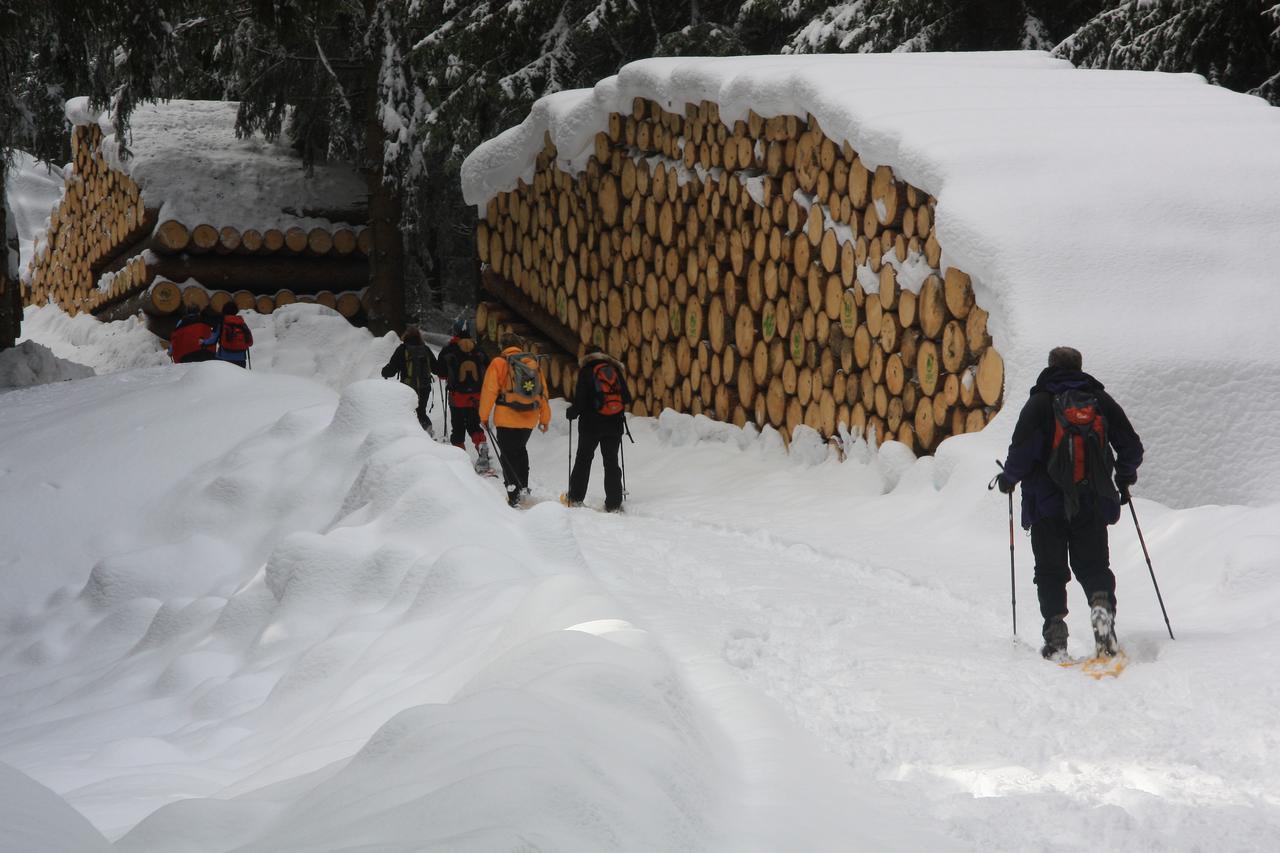 Gasthof Edelweiss Tires Dış mekan fotoğraf